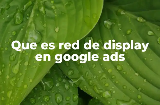 Que es Red de Display en Google Ads