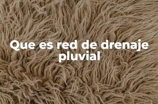 Que es Red de Drenaje Pluvial