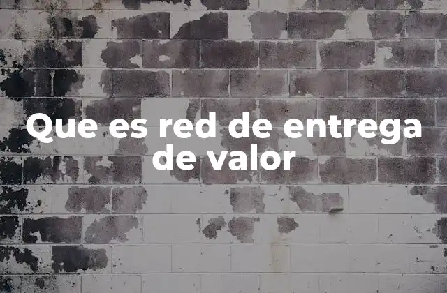 Que es Red de Entrega de Valor