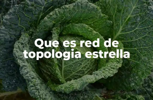 Que es Red de Topologia Estrella 2 Características principales de la topología estrella