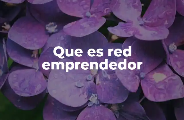 Que es Red Emprendedor