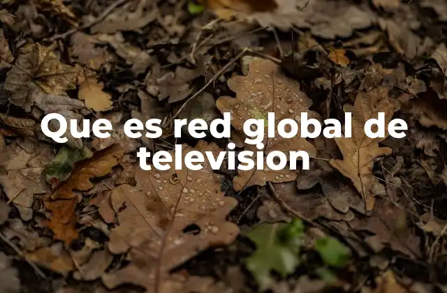 Que es Red Global de Television