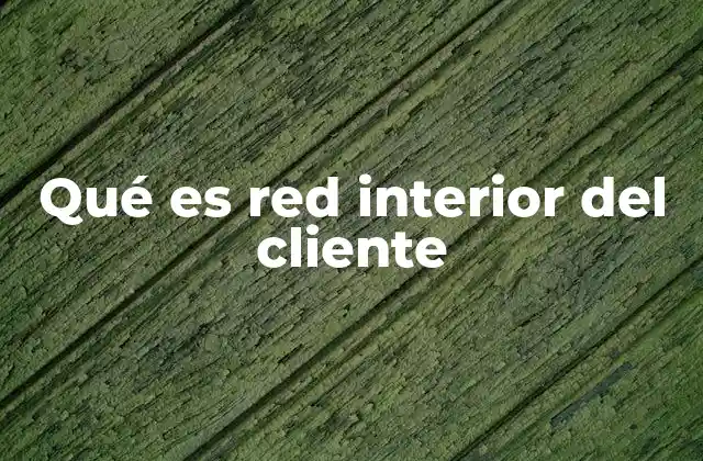 Qué es Red Interior Del Cliente