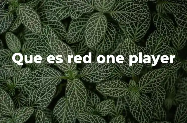 Que es Red One Player