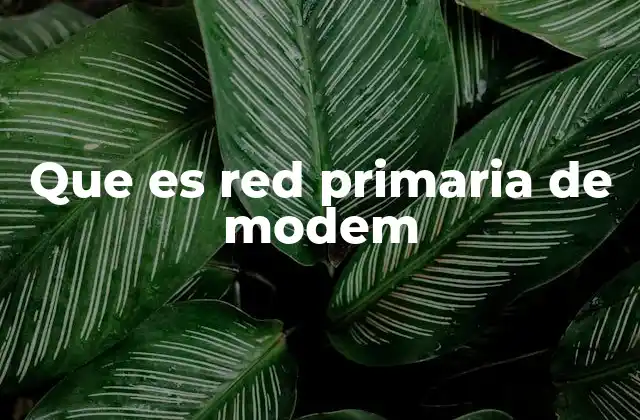 Que es Red Primaria de Modem