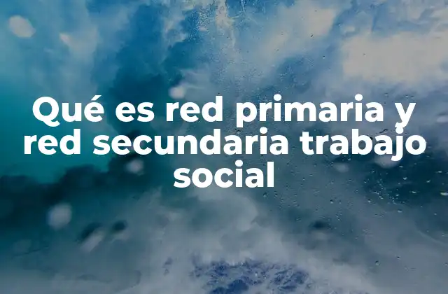 Qué es Red Primaria y Red Secundaria Trabajo Social