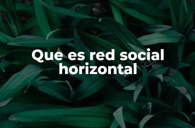 Que es Red Social Horizontal