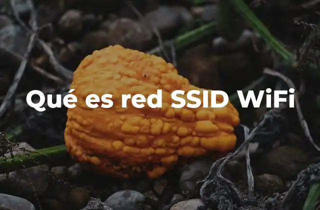 Cómo se identifica una red WiFi