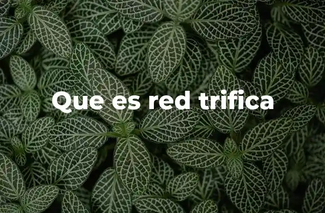 Que es Red Trifica 2 Cómo funciona la red trífica