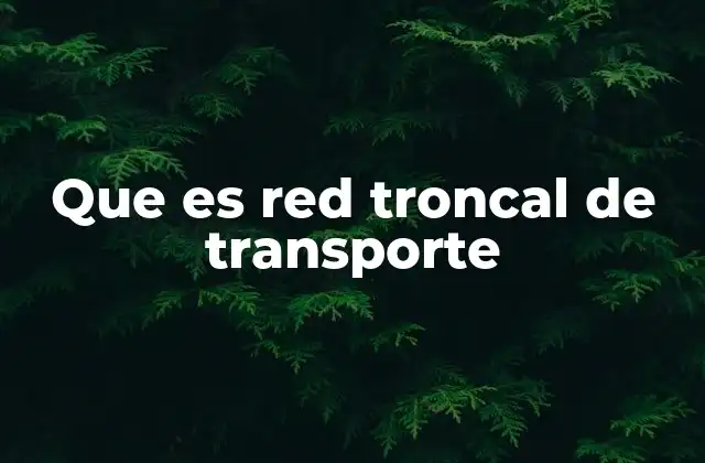 Que es Red Troncal de Transporte