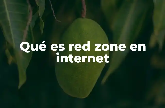 Qué es Red Zone en Internet