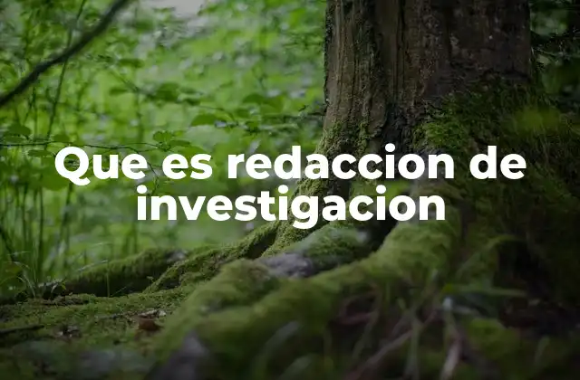 Que es Redaccion de Investigacion