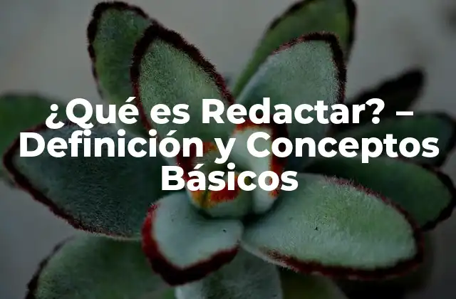 ¿qué es Redactar? – Definición y Conceptos Básicos
