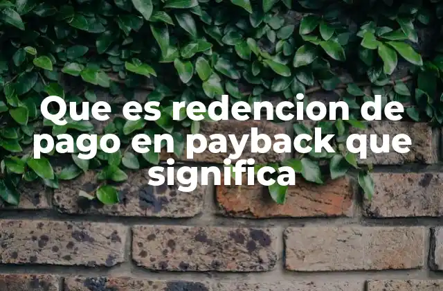Que es Redencion de Pago en Payback que Significa