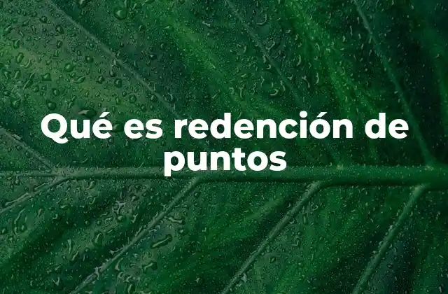 Qué es Redención de Puntos