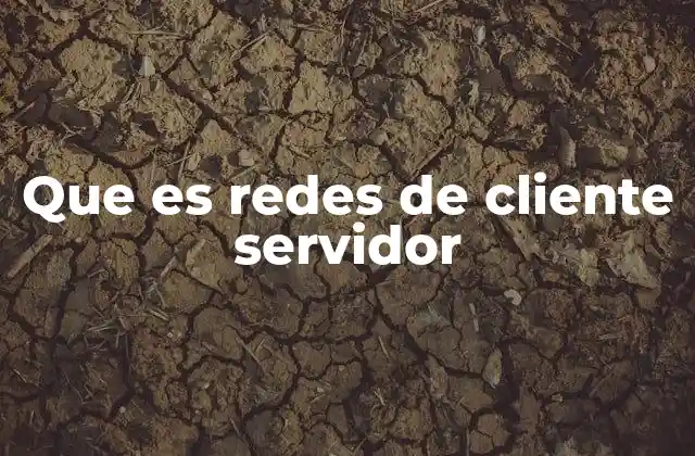 Que es Redes de Cliente Servidor