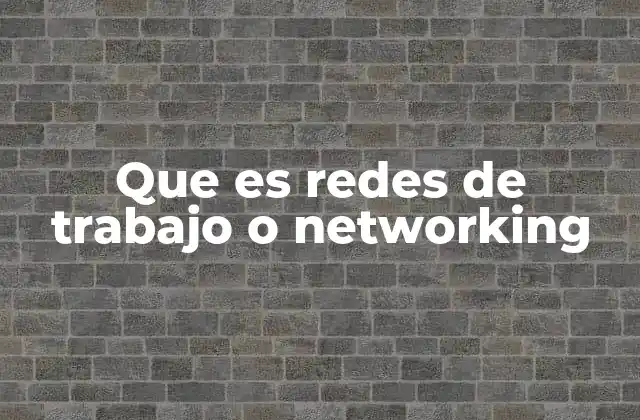 Que es Redes de Trabajo o Networking