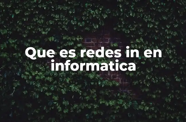 Que es Redes In en Informatica