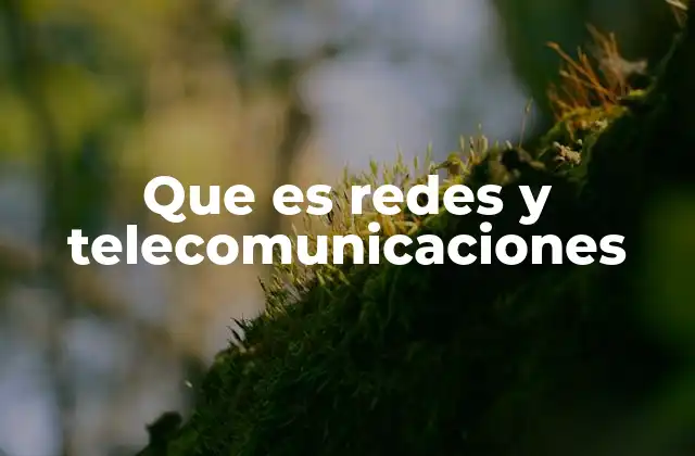Que es Redes y Telecomunicaciones