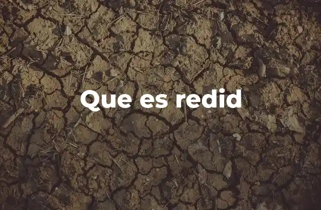 Que es Redid