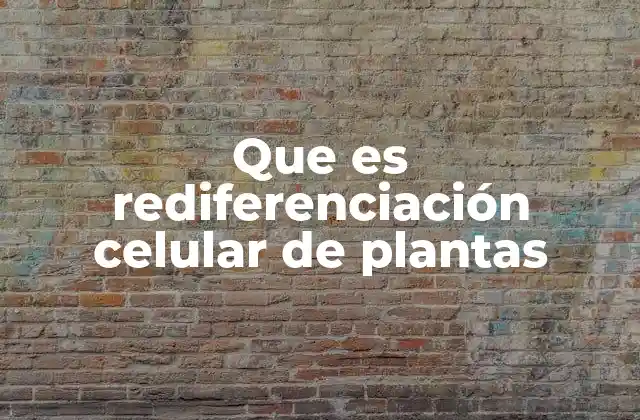 La plasticidad celular como base de la rediferenciación
