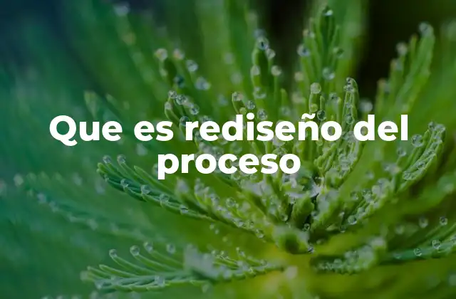 Que es Rediseño Del Proceso