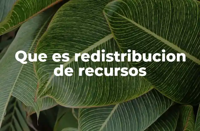 Que es Redistribucion de Recursos