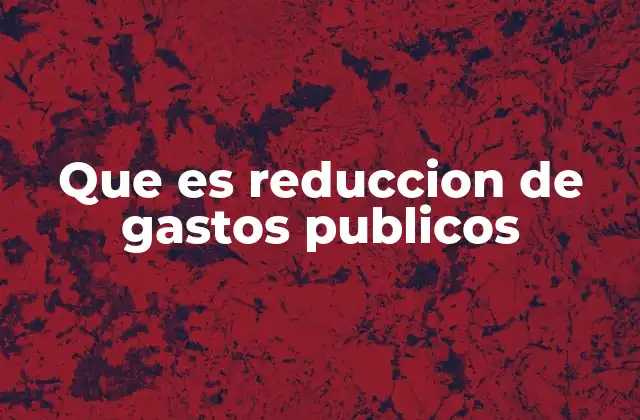 Que es Reduccion de Gastos Publicos