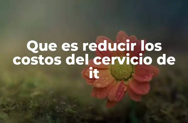 Que es Reducir los Costos Del Cervicio de It
