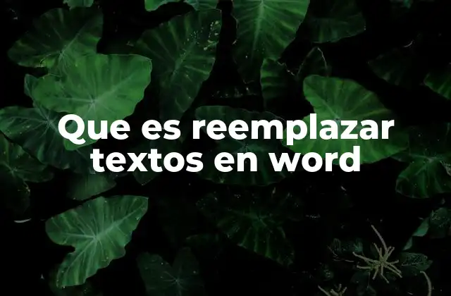 Que es Reemplazar Textos en Word