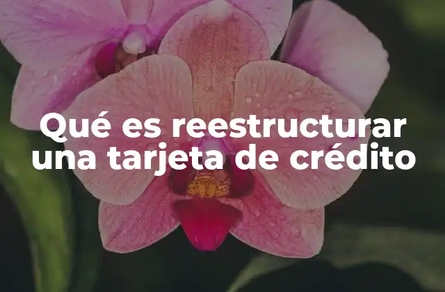 Qué es Reestructurar una Tarjeta de Crédito 2 Cómo funciona la reestructuración de una tarjeta de crédito