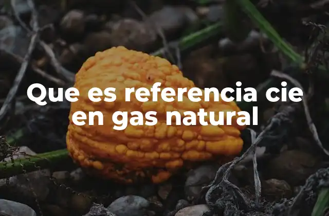 Que es Referencia Cie en Gas Natural