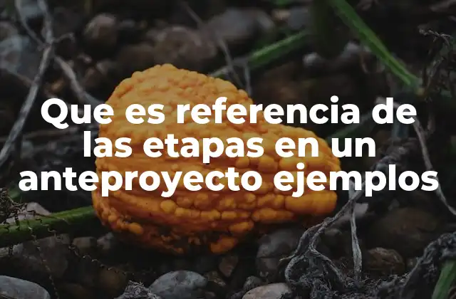 Que es Referencia de las Etapas en un Anteproyecto Ejemplos