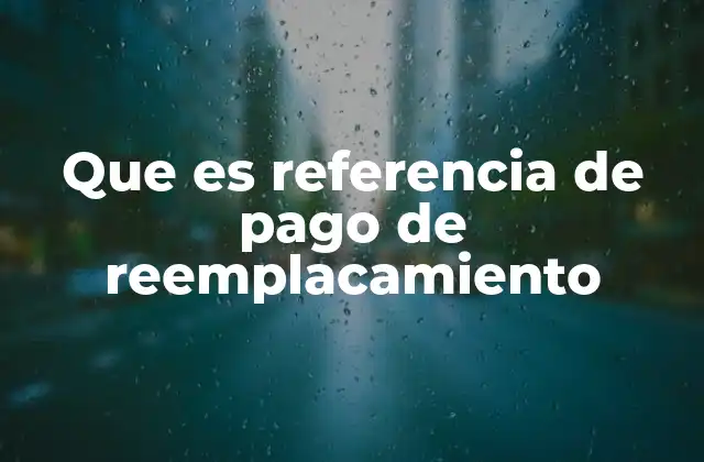 Que es Referencia de Pago de Reemplacamiento