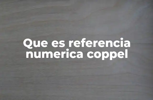 Que es Referencia Numerica Coppel 2 El rol de la referencia numérica en el proceso de devoluciones