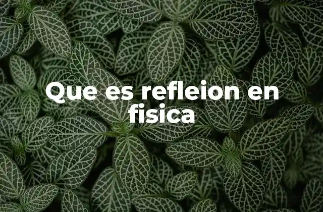 La reflexión como fenómeno ondulatorio