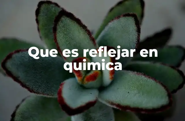 La importancia de la simetría en la estructura molecular