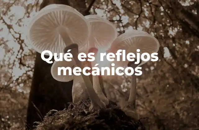 Qué es Reflejos Mecánicos
