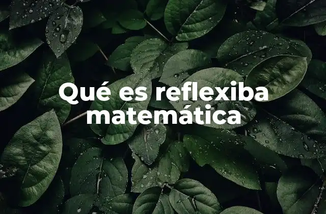 Qué es Reflexiba Matemática