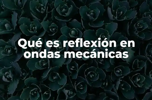 Qué es Reflexión en Ondas Mecánicas