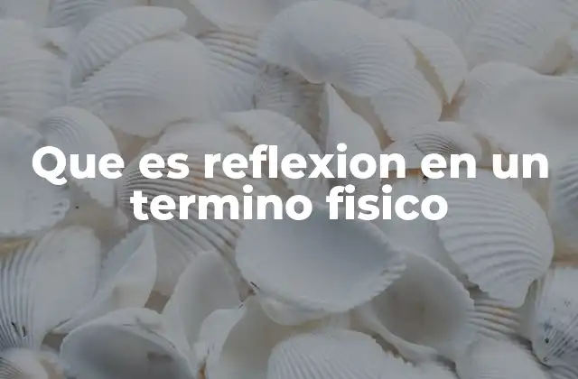 Que es Reflexion en un Termino Fisico