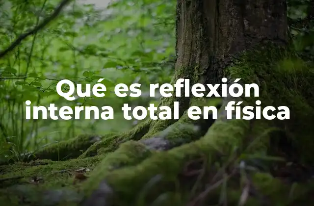 Qué es Reflexión Interna Total en Física 2 Fenómenos ópticos y la transición de medios