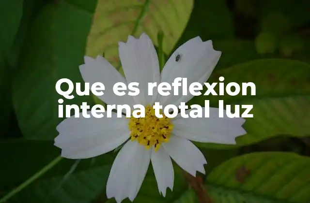 Que es Reflexion Interna Total Luz