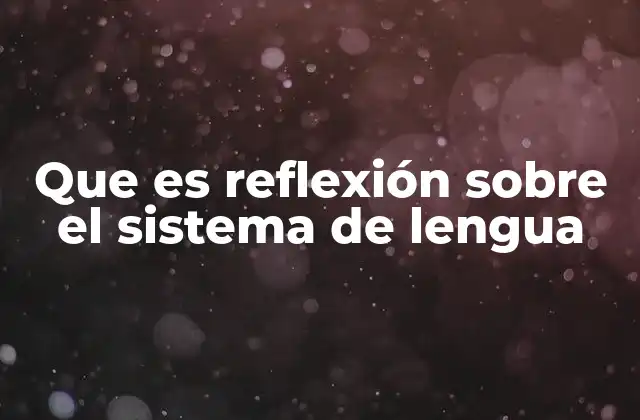 Que es Reflexión sobre el Sistema de Lengua