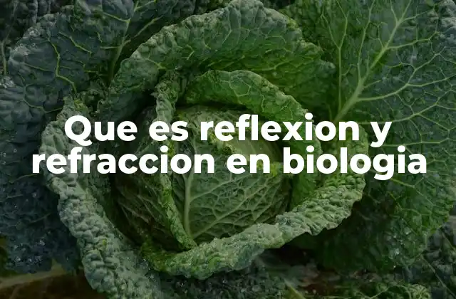 Que es Reflexion y Refraccion en Biologia