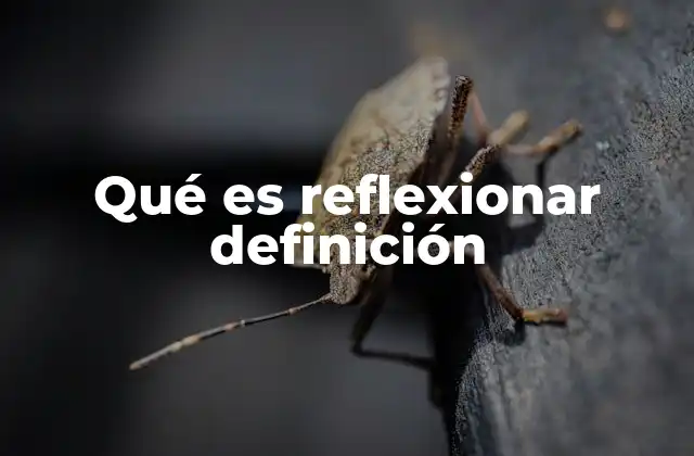 Qué es Reflexionar Definición