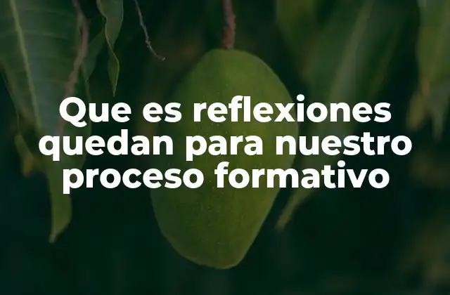 Cómo las reflexiones se integran en nuestro desarrollo personal