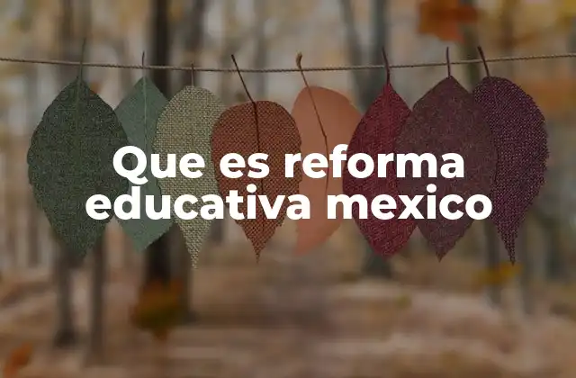 Que es Reforma Educativa Mexico