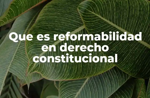 Que es Reformabilidad en Derecho Constitucional 2 La reformabilidad como herramienta para la modernización del Estado