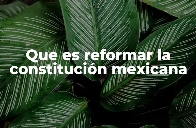 Que es Reformar la Constitución Mexicana